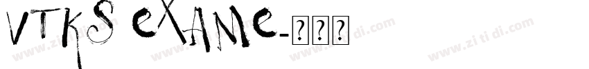VTKS EXAME字体转换